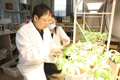 探秘昆明理工大學 走進云南省三七資源可持續利用重點實驗室