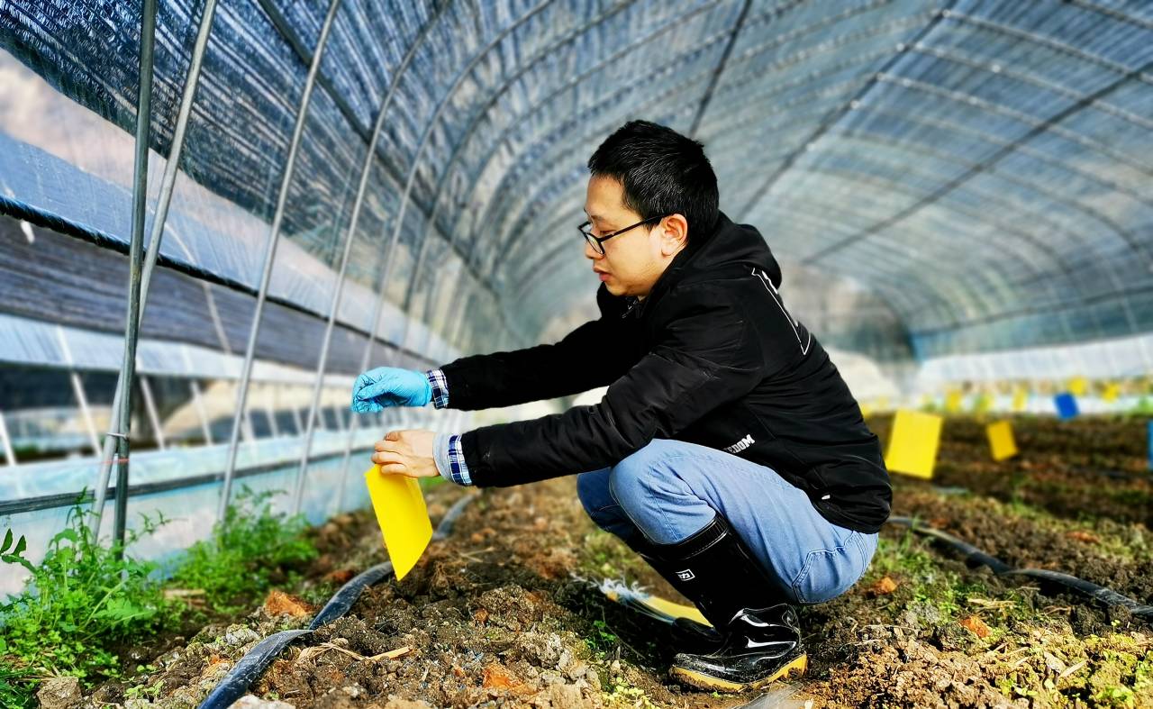 扎根田野，書寫大地——記貴州理工學院教授柏松的自然科學研究之路