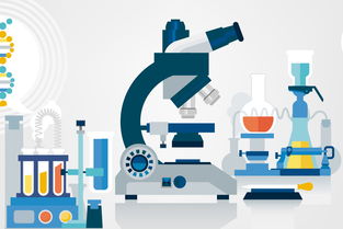 黑坑釣魚小藥自制全攻略 因地制宜調(diào)配，精準應對不同魚情